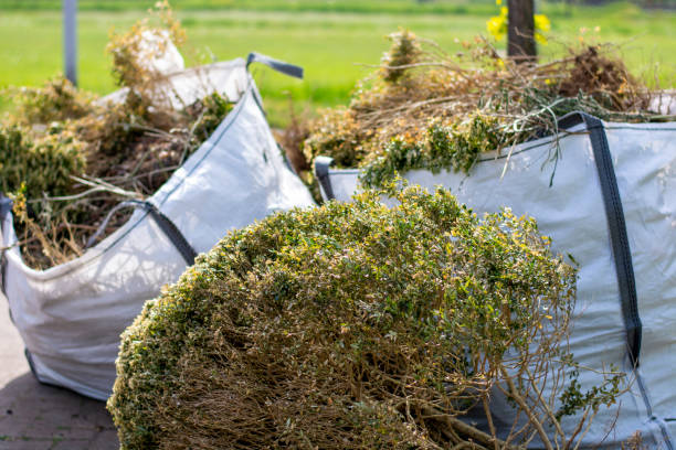 Best Dumpster Rental Services  in Panaca, NV