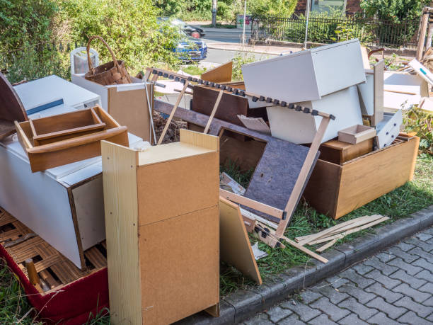 Best Attic Cleanout Services  in Panaca, NV